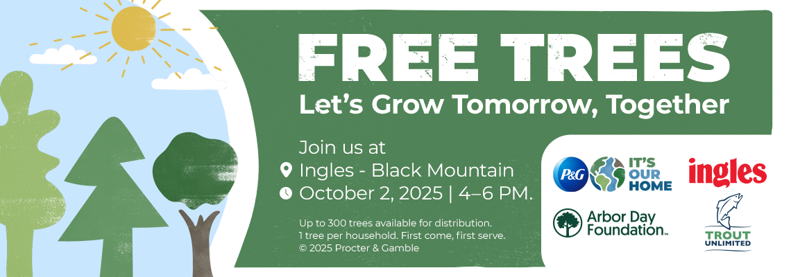 Free Trees . Let
